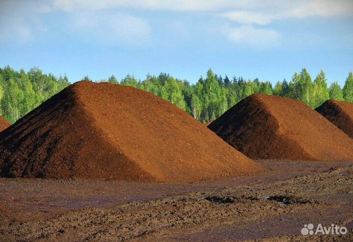 Торф переходный