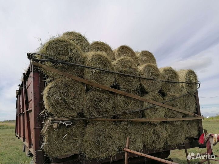 Продам отличное сено в тюках