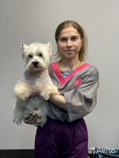 Грумер стрижка собак