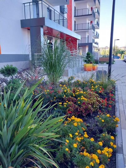 2-к. квартира, 74,6 м², 10/12 эт.