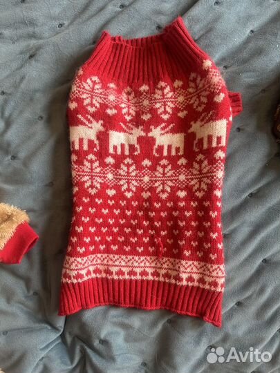 Одежда для собак