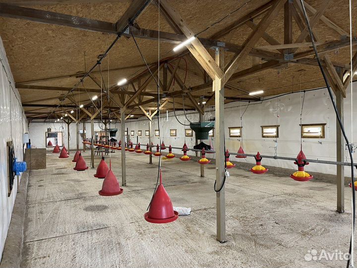 Животноводческая ферма (Эко туризм) продаю