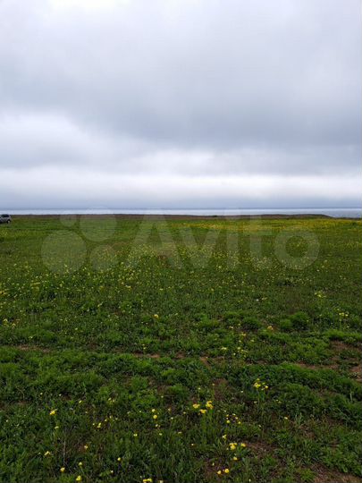 Участок 18,5 сот. (ИЖС)