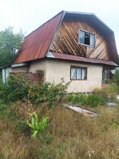 Участок 4,8 сот. (СНТ, ДНП)