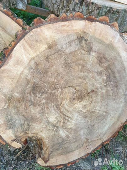 Слэб дерева и спилы