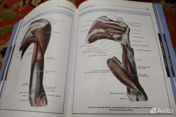 Энциклопедия