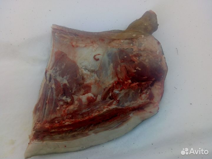 Мясо свинины домашнее