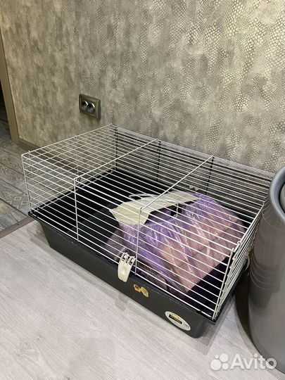 Клетка для грызунов кролика, морской свинки