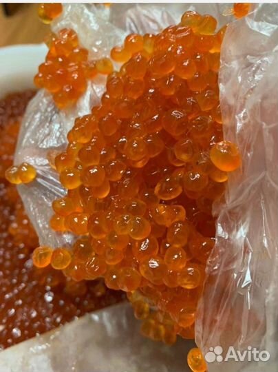 Красная икра горбуши оптом