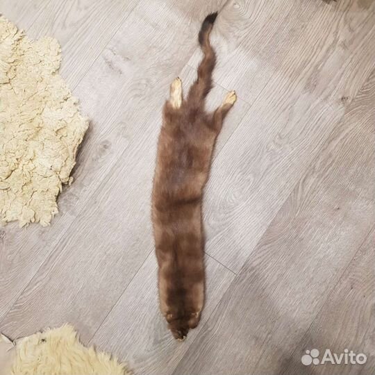 2 шкурки норочек - животик и спинка