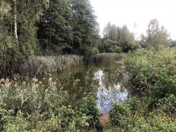 Участок 6,5 га (СНТ, ДНП)