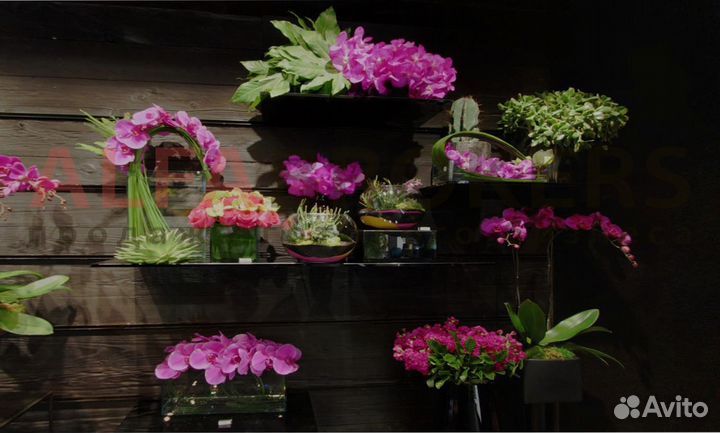 Перспективный салон цветов около метро