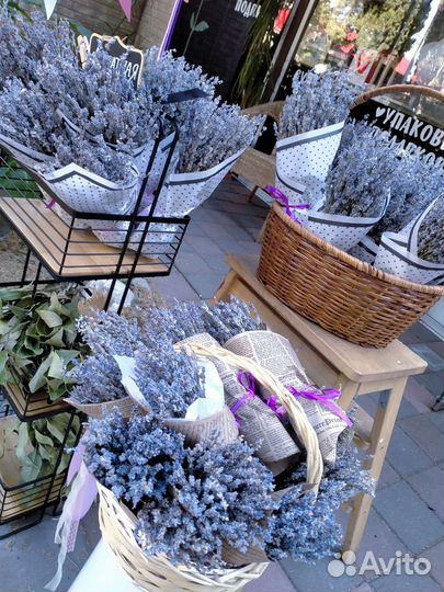 Букет лаванды