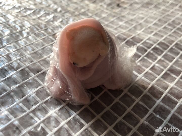 Мыло щенок в полотенце