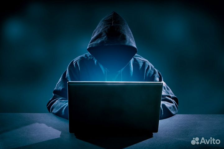 Поиск информации о людях и автомобилях