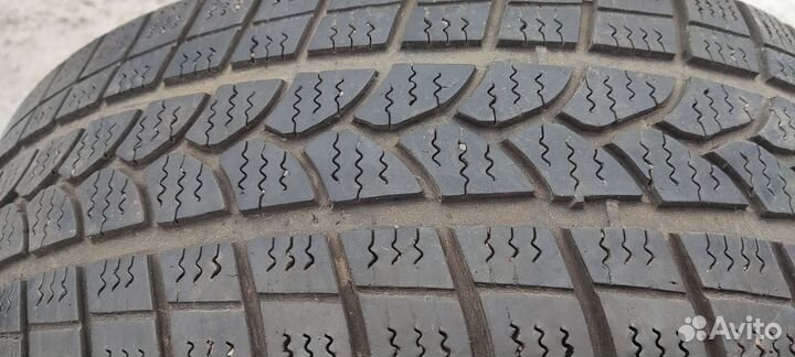 Tigar Winter 1 225/55 R17 101T