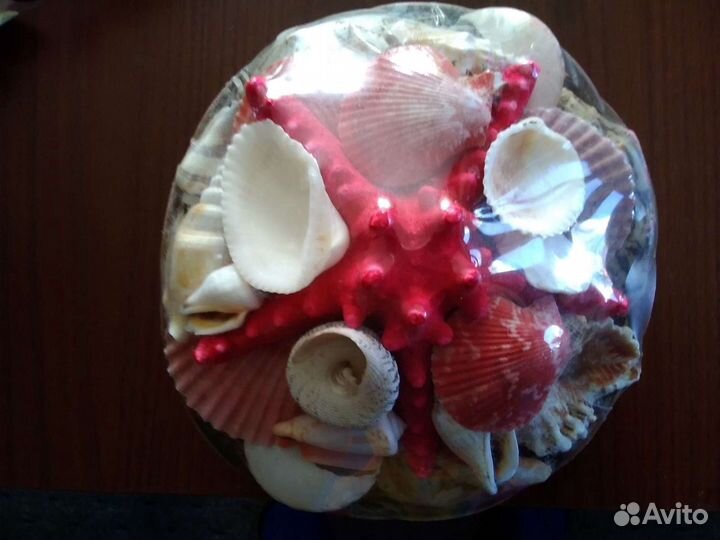 Ракушка корзинка
