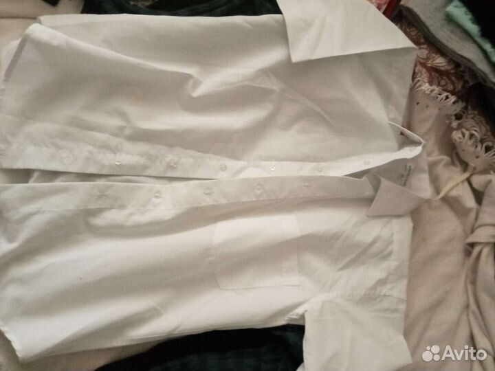 Свитора мужские