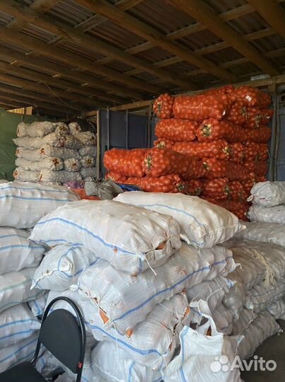 Картофель, лук, морковь