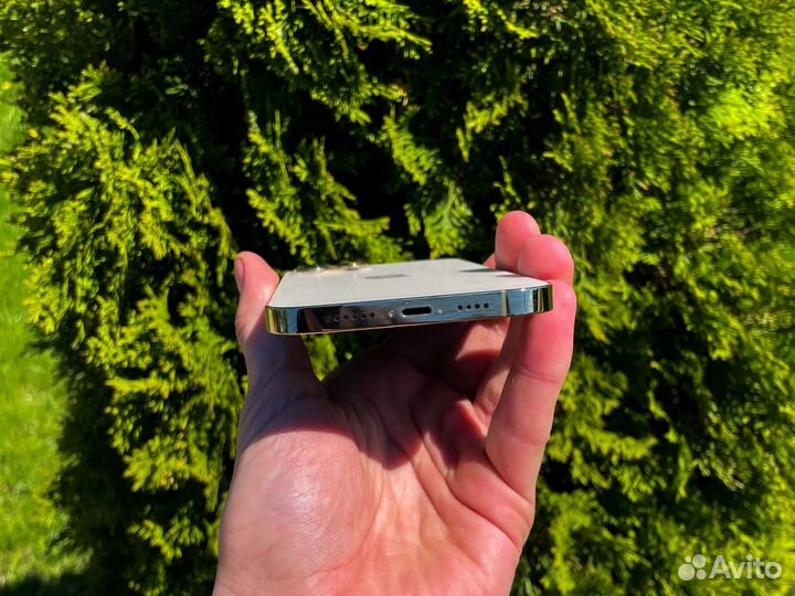 iPhone 12 Pro Max, 256 ГБ