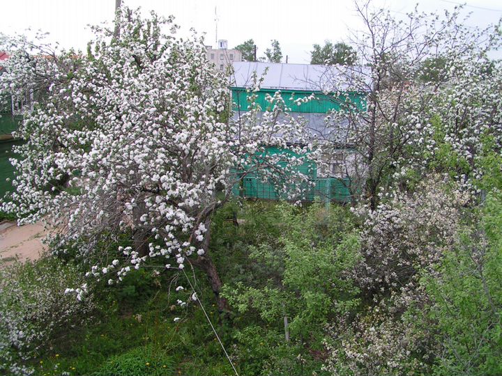 Дача 43 м² на участке 2,4 сот.