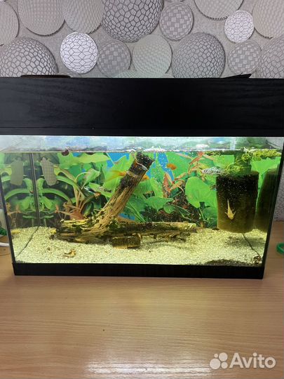 Аквариум 20 литров