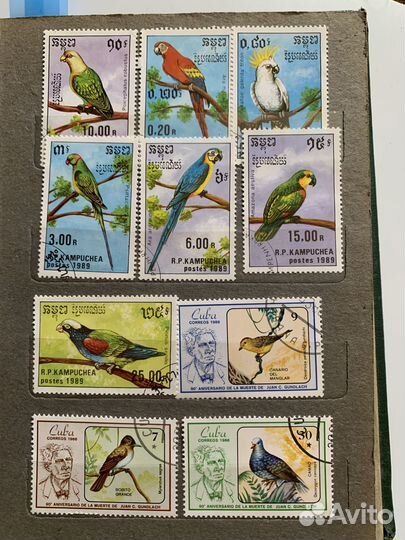 Набор марок птицы 19 шт. серии и разные