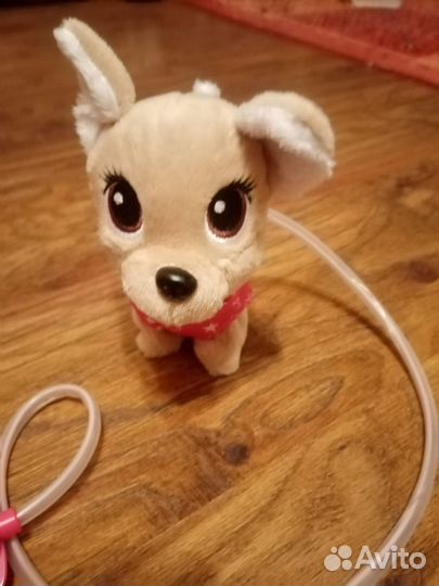 Собачка чичилав