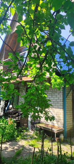 Дача 50 м² на участке 4 сот.