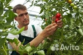 Разнорабочие с проживанием м/ж