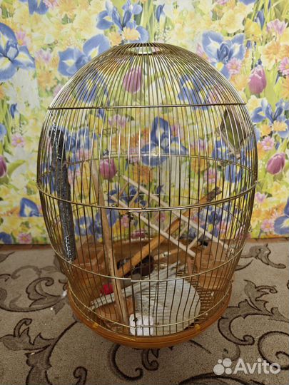 Клетка для попугая