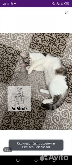 Ковер палас