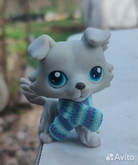 Littlest Pet Shop колли оригинал