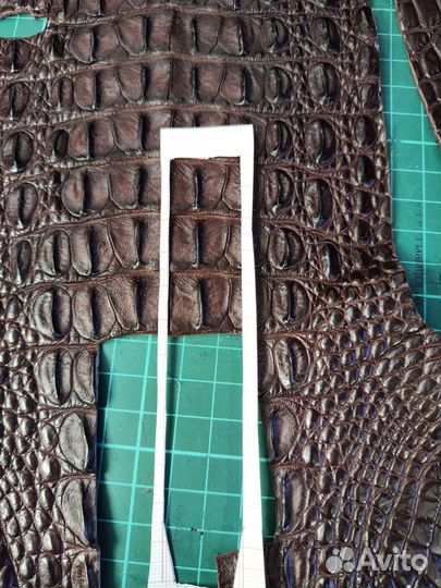 Кожа крокодила, инструменты, фурнитура химия