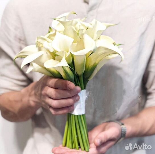 Каллы Букет невесты из калл
