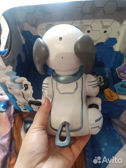 Собака робот дружок