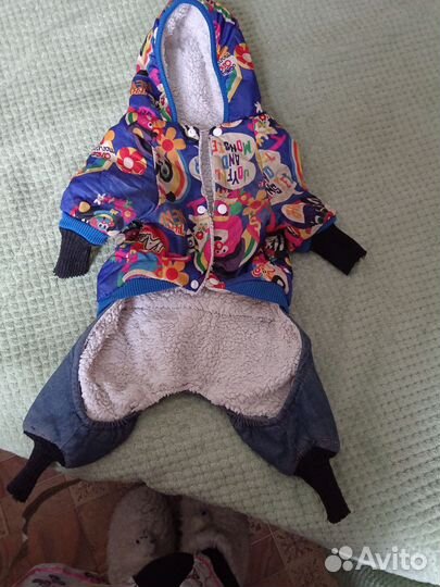 Одежда для средних собак бу