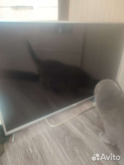 Телевизор, матрица