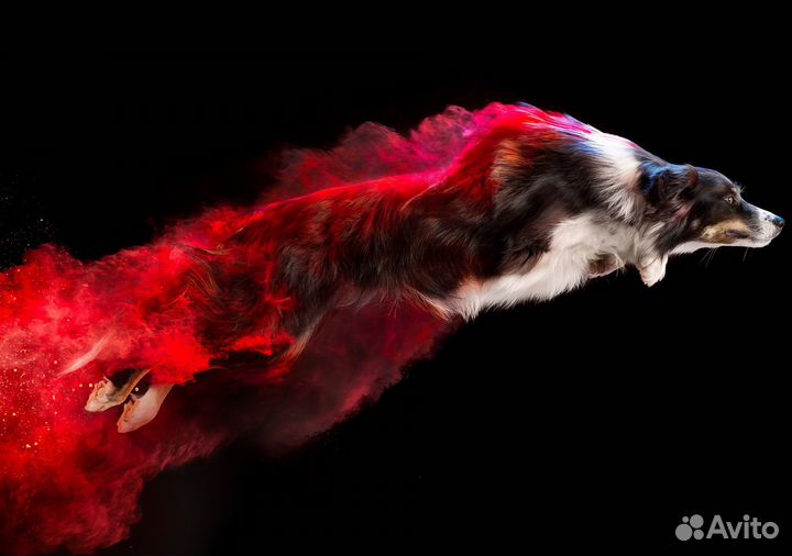 Фестивальные краски Holi Like