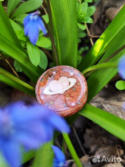 Адресник для собак