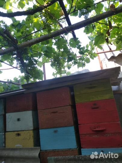 Пчелорамка на Рутовские ульи и лежаки Б/У