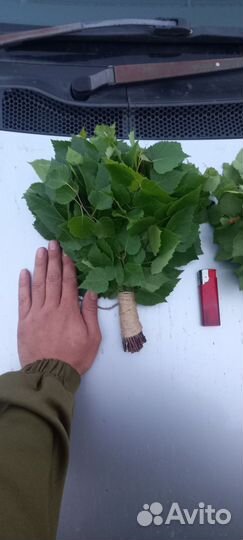 Березовые веники