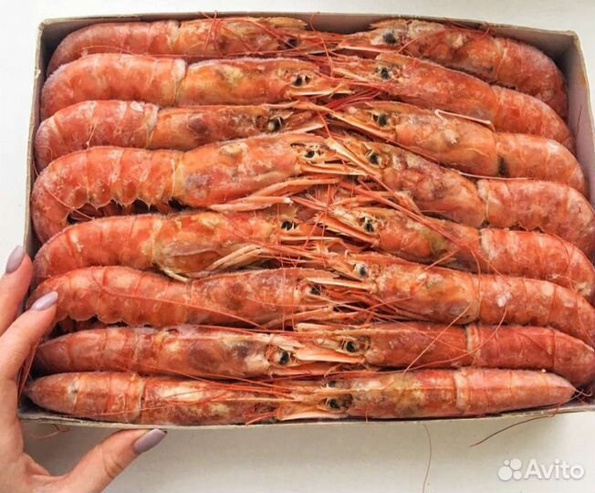 Лангустины