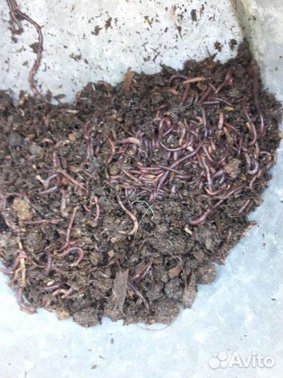 Перегной в мешках