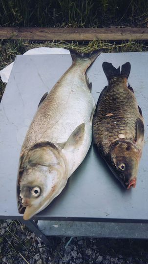 Дом 64 м² на участке 27 сот.