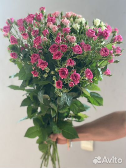 Розы крымские и голландские