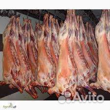 Мясо баранина