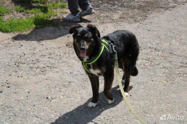 Дикуша Ляля всего боится