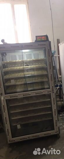 Инкубатор для яиц