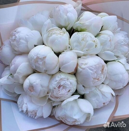 Пионы Цветы Доставка